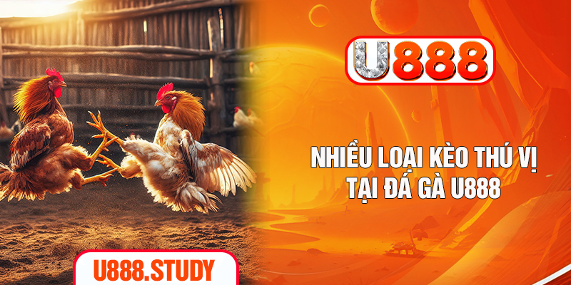 Nhiều loại kèo thú vị tại đá gà U888